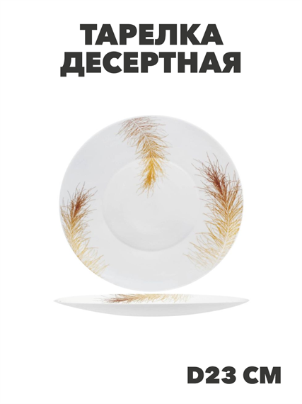 Тарелка обеденная Paulina d25,5см, y3060603222 y3060603222 - фото 60966