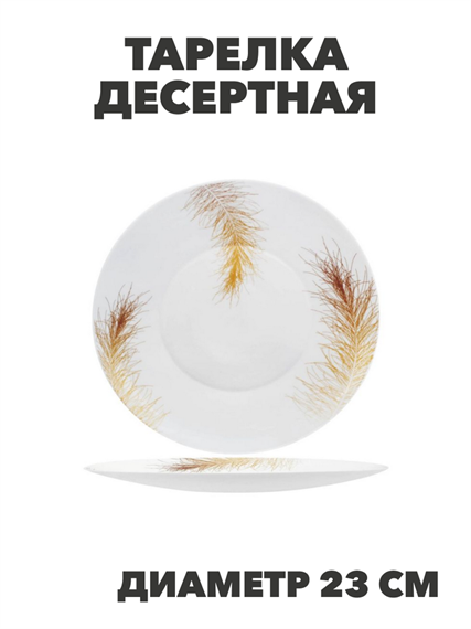 Тарелка обеденная Paulina d25,5см, y3060603222 y3060603222 - фото 61140