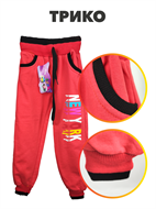 Брюки спортивные Asia Kids b1010100163 b1010100163