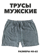 {{productViewItem.photos[photoViewList.activeNavIndex].Alt || productViewItem.photos[photoViewList.activeNavIndex].Description || 'Трусы мужские семейные НОНЭ, r4080101808 4'}}