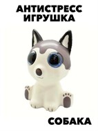 СКВИШ СОБАКА ХАСКИ f111333093