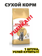 {{photo.Alt || photo.Description || 'Сухой корм, Royal Canin British Shorthair Adult для британских короткошерстных кошек старше 12 месяцев, 2 кг, n4152-168770'}}
