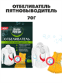 Отбеливатель пятновыводитель Master Fresh, 70гр a10203040 - фото 44088