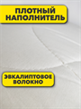 Одеяло из Эвкалиптового волокна 200х220 b2010200526 b2010200526 - фото 46686 Одеяло из Эвкалиптового волокна 200х220 b2010200526 b2010200526 - фото 46686