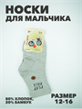 Носки для мальчика тонкие микс,"БИАОФУН", r1050101639 r1050101639 - фото 53187