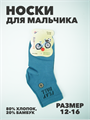 Носки для мальчика тонкие микс,"БИАОФУН", r1050101639 r1050101639 - фото 53189