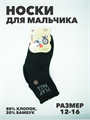 Носки для мальчика тонкие микс,"БИАОФУН", r1050101639 r1050101639 - фото 53190