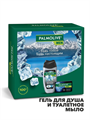Набор подарочный мужской Palmolive Men Арктический Ветер и Северный океан: гель для душа 250мл, мыло. m2030101689 m2030101689 - фото 53527