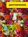 Термосалфетка PP двусторонняя 58*98 №3, m3060102543 2 m3060102543 2 - фото 57952