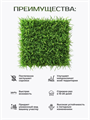 Газонная трава низкорослая семена 1 кг, w3040202590 w3040202590 - фото 58279