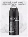 Дезодорант мужской EXXE SILVER, аэрозоль, 150 мл, m2040113010 m2040113010 - фото 60393