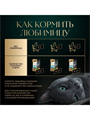 Влажный корм Sheba 75 г для кошек С лососем, горохом, морковью, n4095-252341 n4095-252341