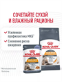Сухой корм, Royal Canin Hair & Skin Care полнорационный для взрослых кошек (старше 1 года) для здоровья кожи и красоты шерсти, 2 кг, n4088-168770 n4088-168770