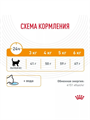 Сухой корм, Royal Canin Hair & Skin Care полнорационный для взрослых кошек (старше 1 года) для здоровья кожи и красоты шерсти, 2 кг, n4088-168770 n4088-168770