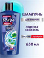 КЛИАР Men Шампунь "Ледяная Свежесть", против перхоти с ментолом, мужской, 650мл, n4115-162526 n4115-162526
