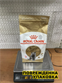 Сухой корм, Royal Canin British Shorthair Adult для британских короткошерстных кошек старше 12 месяцев, 2 кг, n4152-168770 n4152-168770